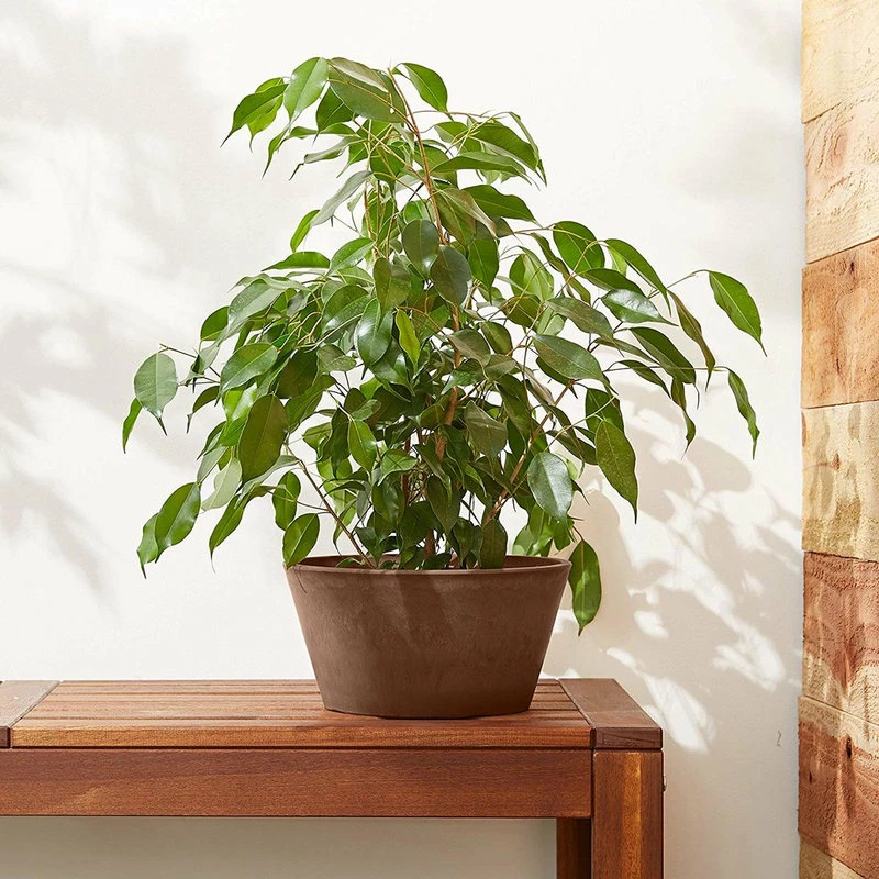 Arcadia Garden Products Sleek Bulb Pan, Chocolate - Image 5