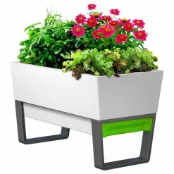 Glowpear Urban Garden