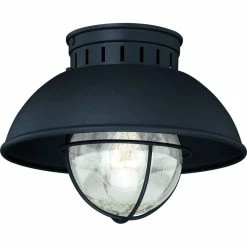 Vaxcel Harwich 10" Outdoor Flush Mount Light, Textured Black