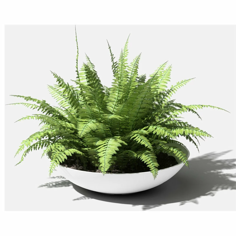 Veradek Lane Round Planter Bowl, White, 32" - Image 6