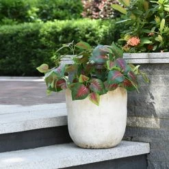 StyleCraft Feist Concrete Pot Planter 13 StyleCraft Feist Concrete Pot Planter -EZ Vane Shop 4fb175900f60e86b 4893 w800 h800 b0 p0