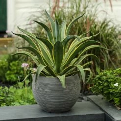 LuxenHome Stone Finish Pottery Bowl Planter (Small) 14 LuxenHome Stone Finish Pottery Bowl Planter (Small) -EZ Vane Shop 730120e10eea437c 2796 w800 h800 b0 p0