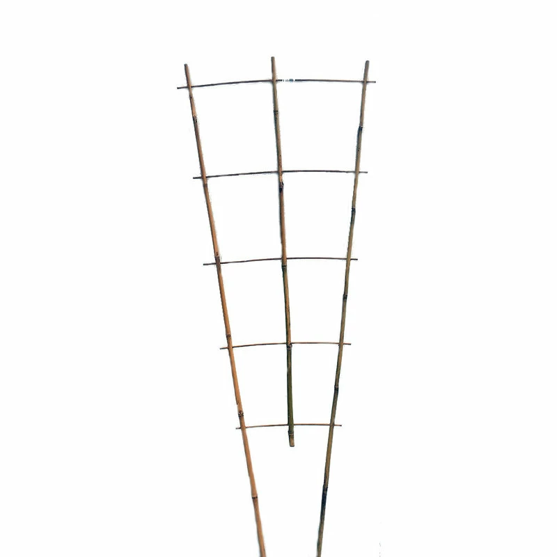 Master Garden Products Set Of 5 Bamboo Ladder Trellis, 48", 3 Tiers