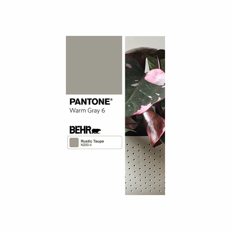 WallyGro Wally Eco Stone Wall Planter, Set Of 4 - Image 4