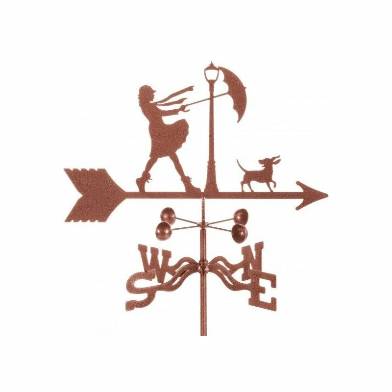 EZ Vane LLC Windy Day Weathervane With 4 Sided Mount