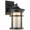 CHLOE Lighting, Inc. Frontier Transitional LED Textured Outdoor Wall Sconce, Black, 11" Height