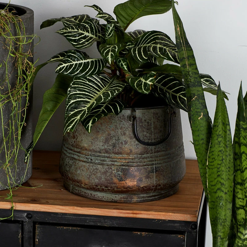 Brimfield & May Rustic Brass Metal Planter 69183 6 Brimfield & May Rustic Brass Metal Planter 69183 - Image 4
