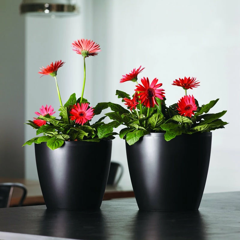 Crescent Garden Eva 18" Planter, White - Image 3