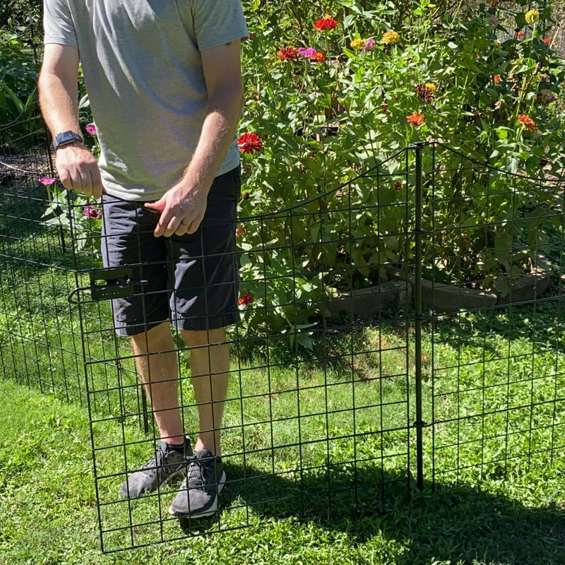 Zippity Ourdoor Products Black Metal Zippity Gate With 4-Fence Panels - Image 4