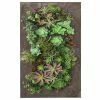 Vandue Corporation Modern Home Living Wall Galvanized Steel/Zinc Succulent Planter, Wall Mounted G