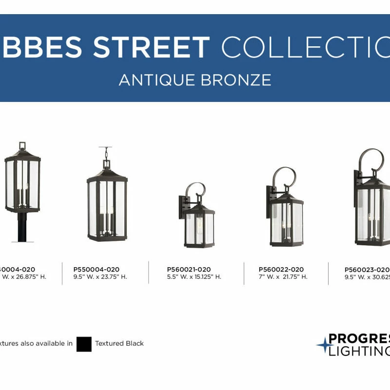 Progress Lighting Gibbes Street Collection Two-Light Medium Wall-Lantern - Image 9