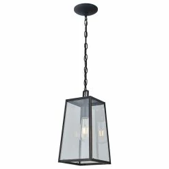 AA Warehousing 1-Light Outdoor Hanging Lantern In Imperial Black Finish And Clear Glass Shade