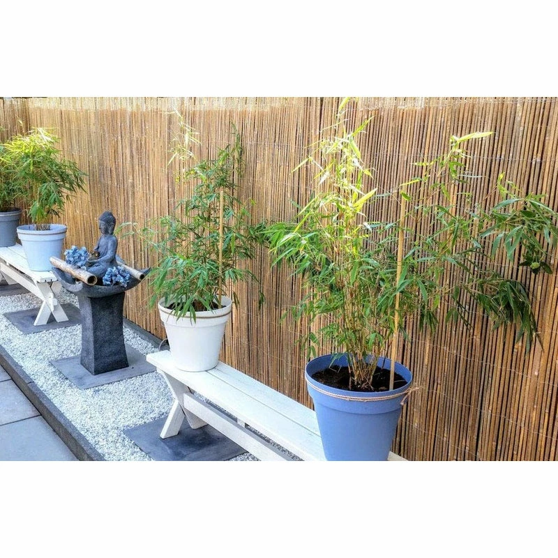 Master Garden Products Bamboo Slat Rolled Fence, 14'x4' - Image 5