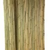 Master Garden Products Tonkin Bamboo Fence 8'L X 5'H