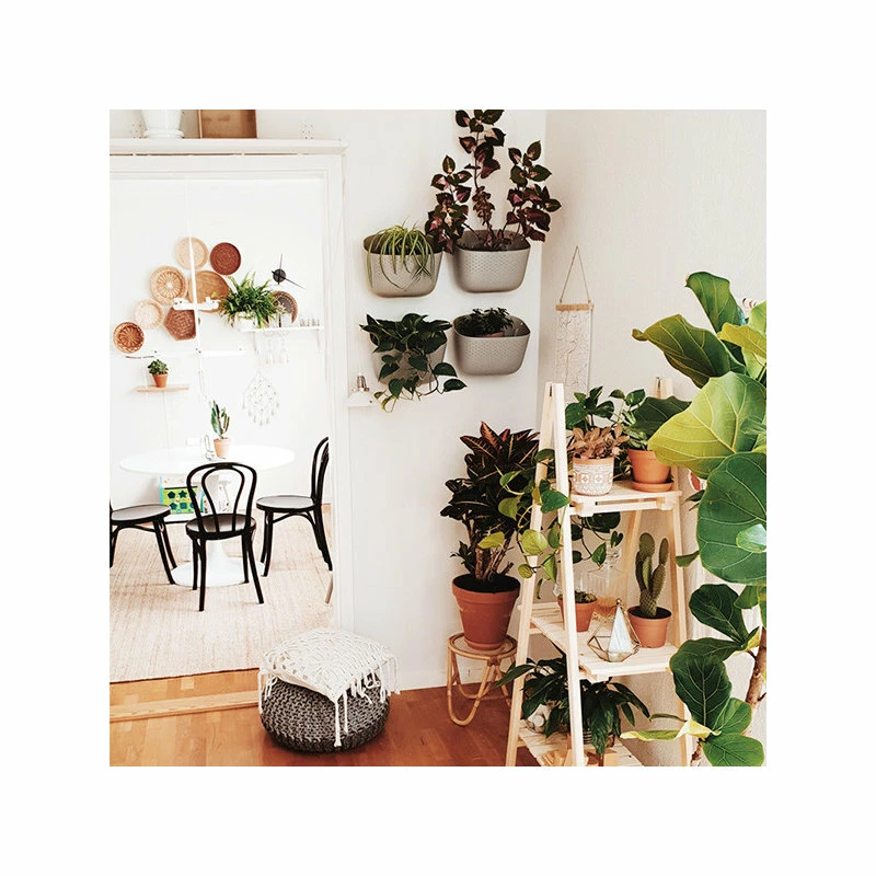 WallyGro Wally Eco Stone Wall Planter, Set Of 4 - Image 3