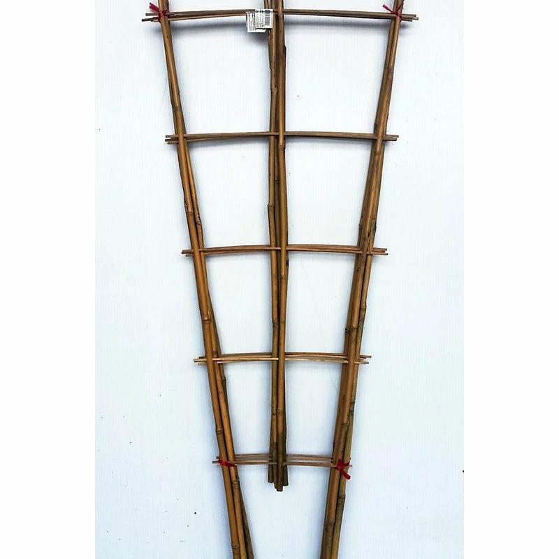 Master Garden Products Set Of 5 Bamboo Ladder Trellis, 48", 3 Tiers - Image 2