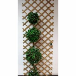 Master Garden Products Expandable Bamboo Trellis With Aluminum Rivets 11 Master Garden Products Expandable Bamboo Trellis With Aluminum Rivets -EZ Vane Shop fed19a7f0c07137b 3933 w800 h800 b0 p0