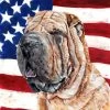 The-store Shar Pei With American Flag Usa Flag Canvas