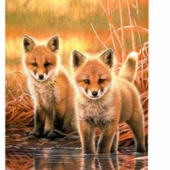 Breeze Decor Wildlife & Lodge Foxes 2-Sided Vertical Impression House Flag