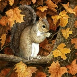 The-store Autumn Grey Squirrel By Daphne Baxter Flag Canvas House Size BDBA0388CHF