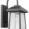 Edvivi Lighting Carina Textured Black Outdoor Wall Sconce Glass Lantern Light