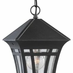 Sea Gull Lighting Sea Gull Herrington 1-Light Outdoor Pendant 69131-12, Black