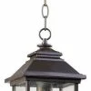 Joshua Marshal One Light Oiled Bronze Clear Seeded Glass Hanging Lantern