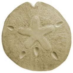 Garden Molds Sand Dollar Stepping Stone Mold
